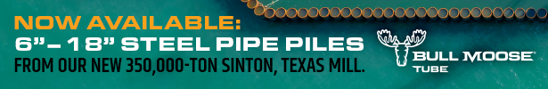 Bull Moose Tube Banner Ad