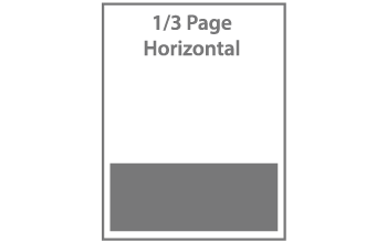 1/3 Horizontal